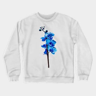 Orchid Crewneck Sweatshirt